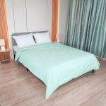 Плик за олекотена завивка, Ранфорс 100% памук, Мента, 200/210 см